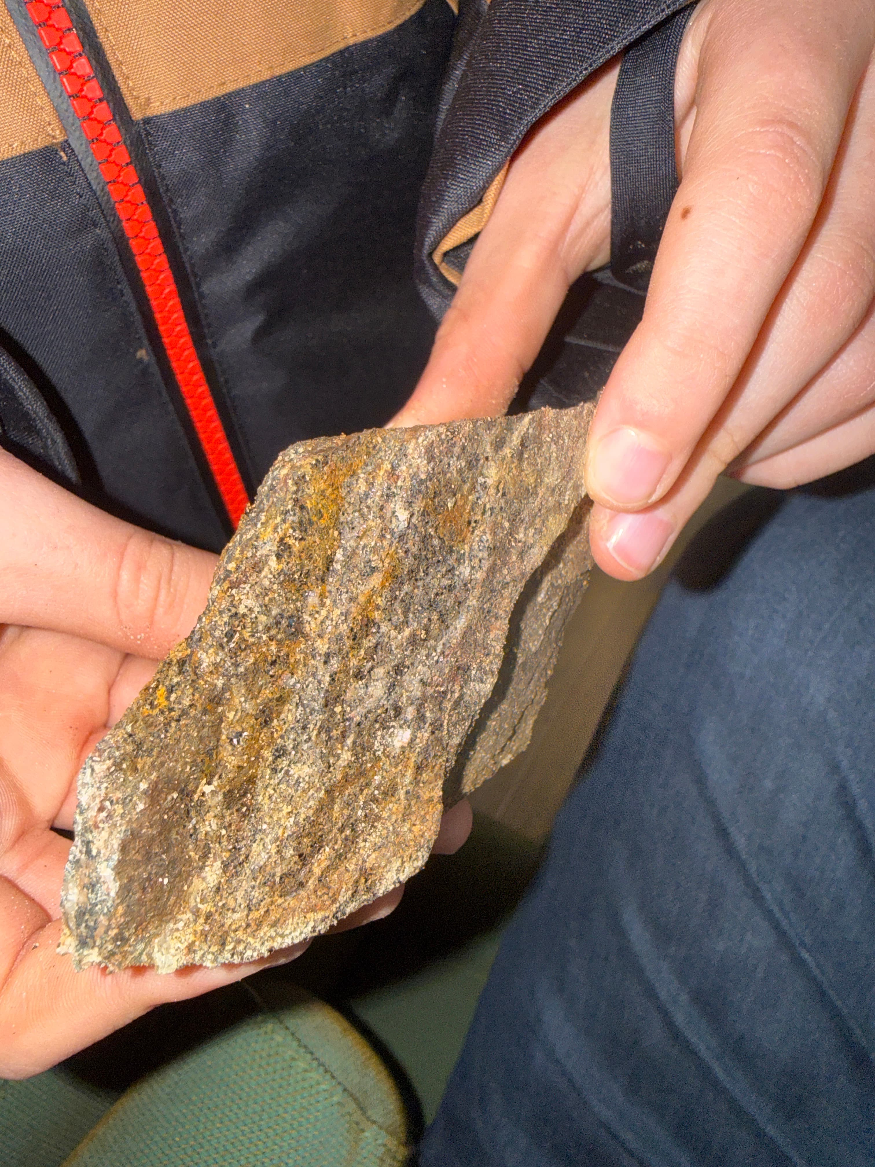 Zandsteen (Zwarte Woud)