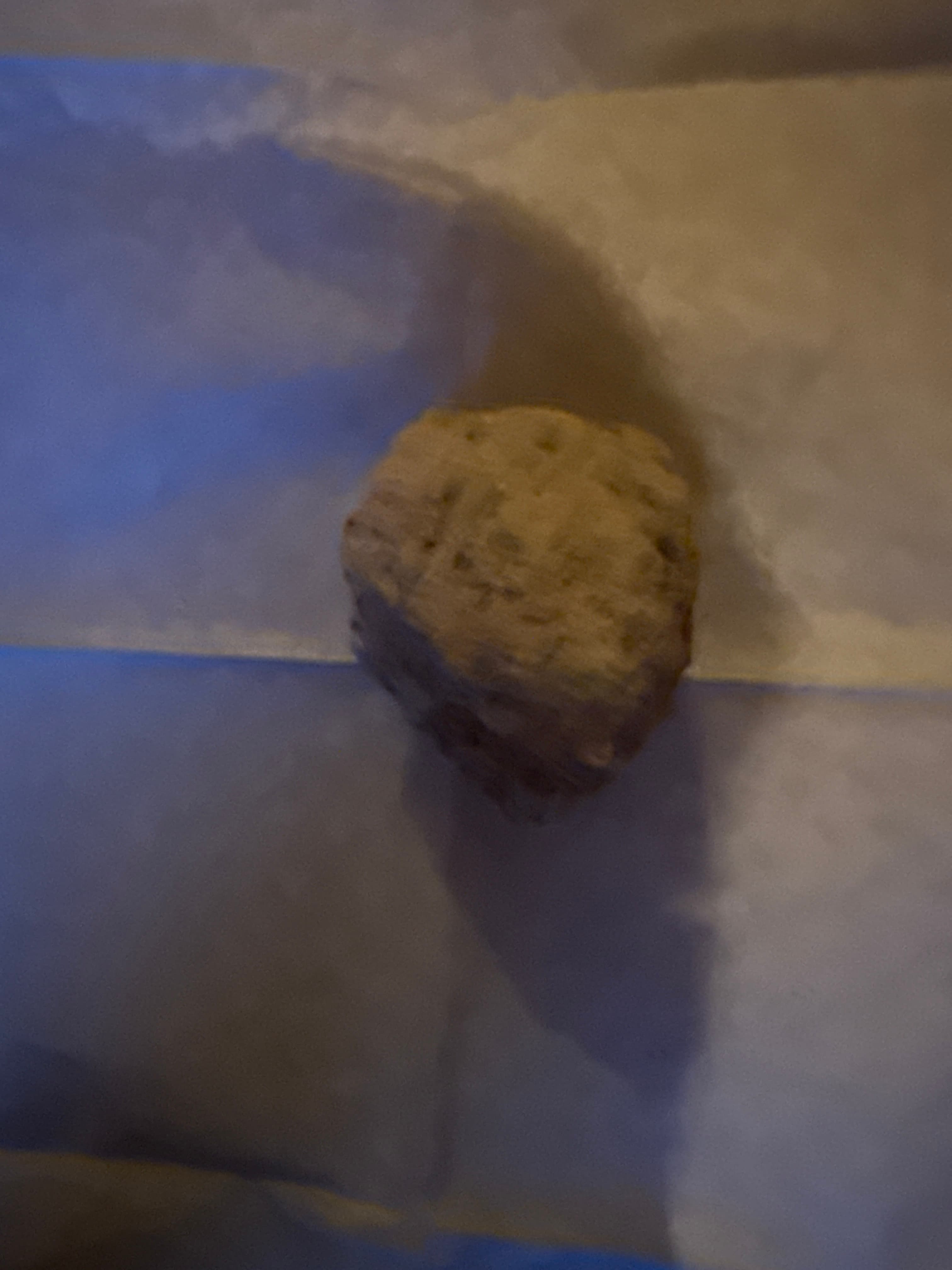 Tweeling van schimmel steen